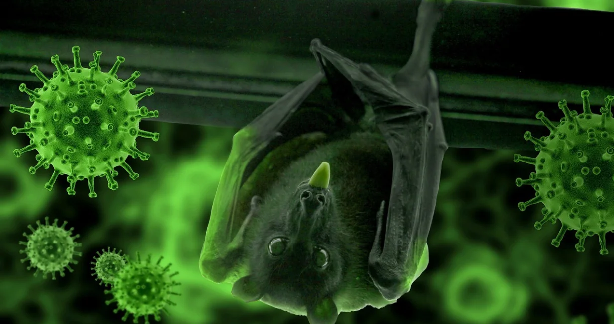 Važan podsjetnik je da su patogeni spremni i čekaju preći s bilo koje vrste životinje na ljude/Pixabay/