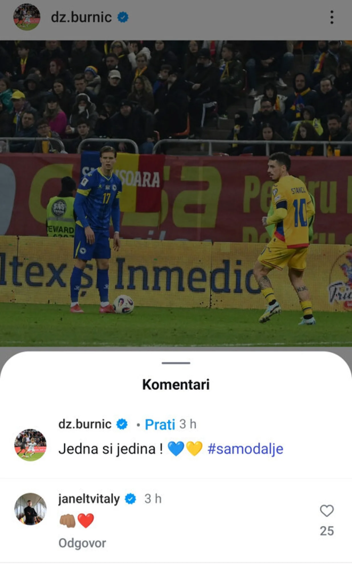 Objava Dženisa Burnića i komentar Janelta