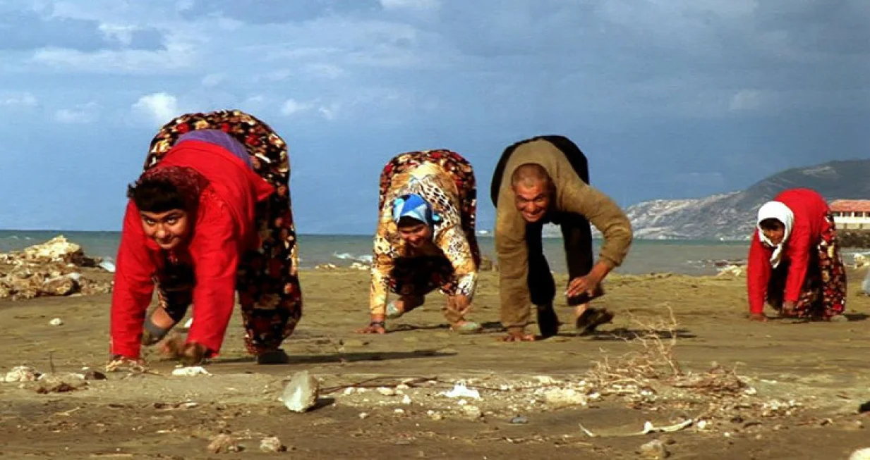 ulas porodica, hodanje, evolucija, na sve četiri, četiri noge//