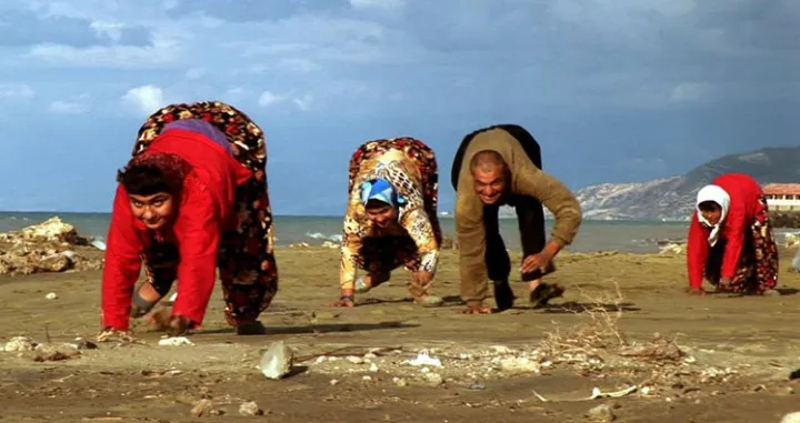 ulas porodica, hodanje, evolucija, na sve četiri, četiri noge//