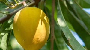 Screenshot/ Instagram/