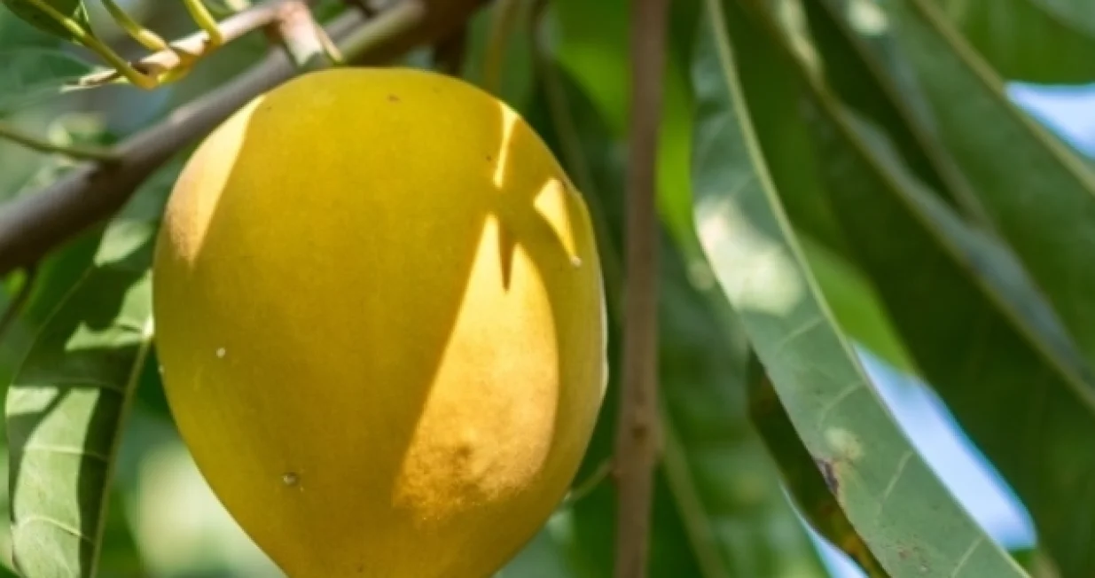 Screenshot/ Instagram/