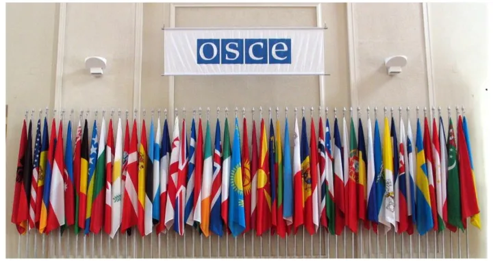 redovno zasjedanje Stalnog vijeća OSCE-a u sjedištu OSCE-a u Beču//