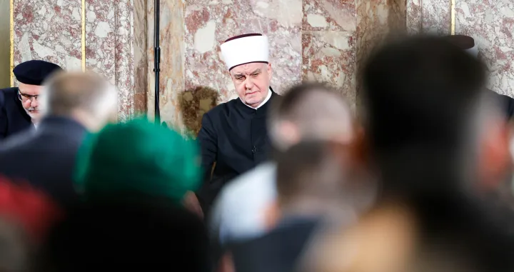 Lejletul Kadr 2025/Damir Deljo