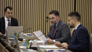 Vijeće ministara BiH/Fena