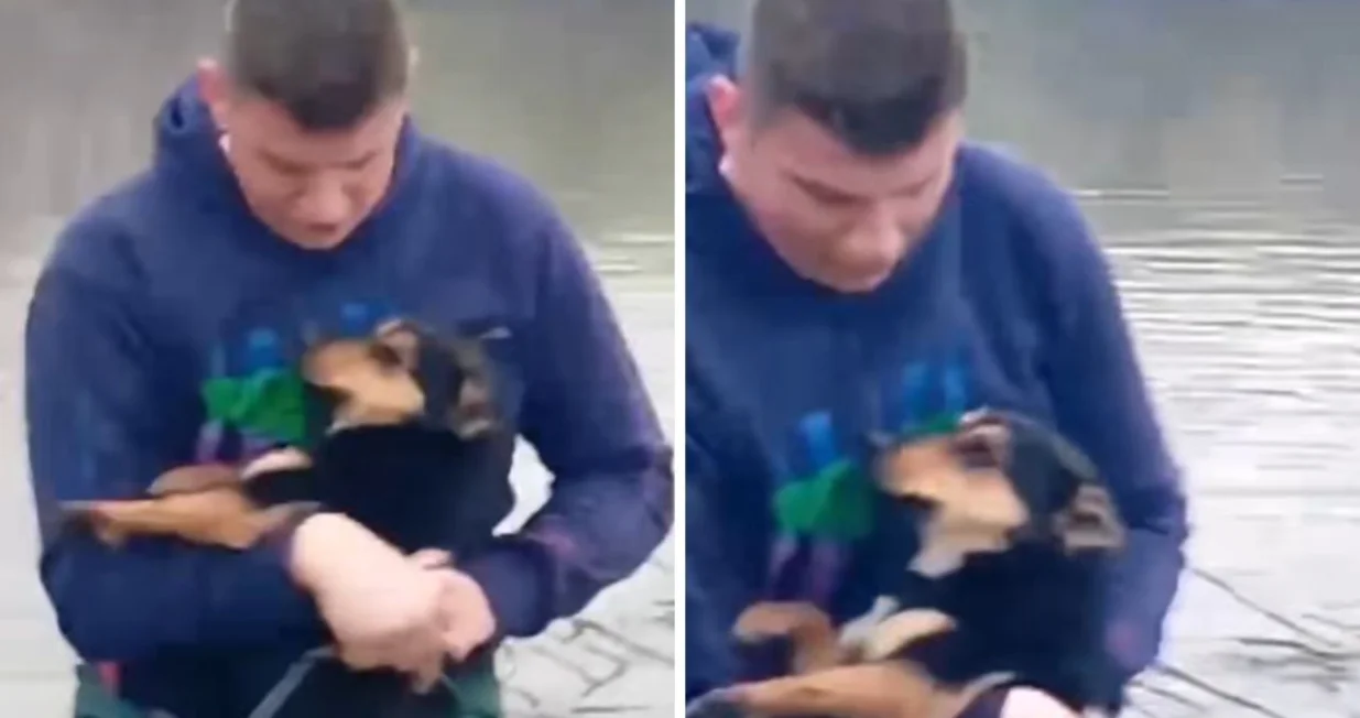 Predivan prizor/Crna Hronika