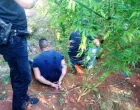 Granična policija kod Čapljine uhapsila dvojicu zbog uzgoja marihuane Marihuana, plantaža hapšenje/