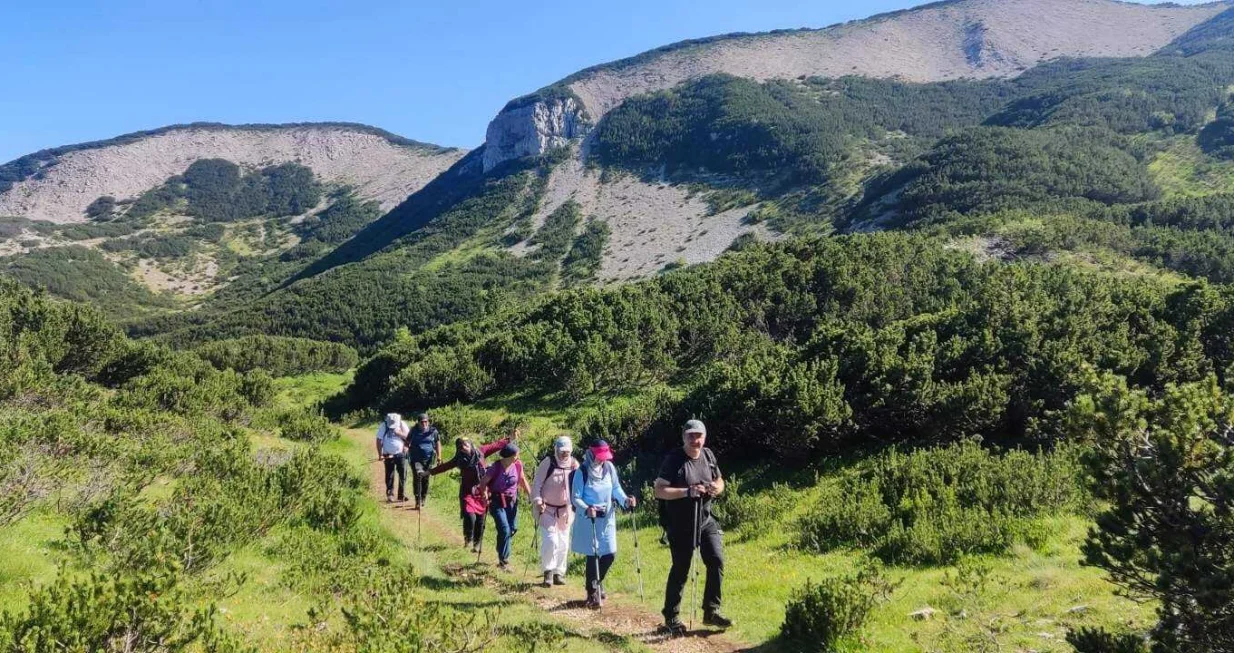 Planina, planinarenje, priroda/PSK Prijatelj prirode/