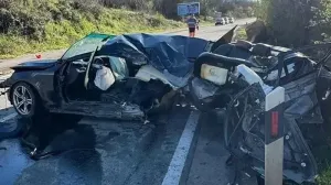 Jezivi prizori sa mjesta nesreće/Crna hronika//