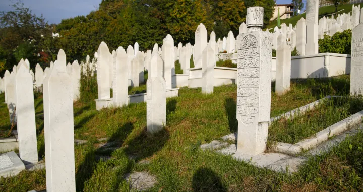 Sarajevo prizori/Damir Deljo