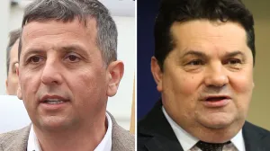 Vukanović istevandić/-