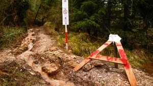 Širokaća/Curine njive rascjepi/Damir Deljo