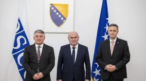 Željko Komšić, Feridun H. Sinirlioğlu, Denis Bećirović//
