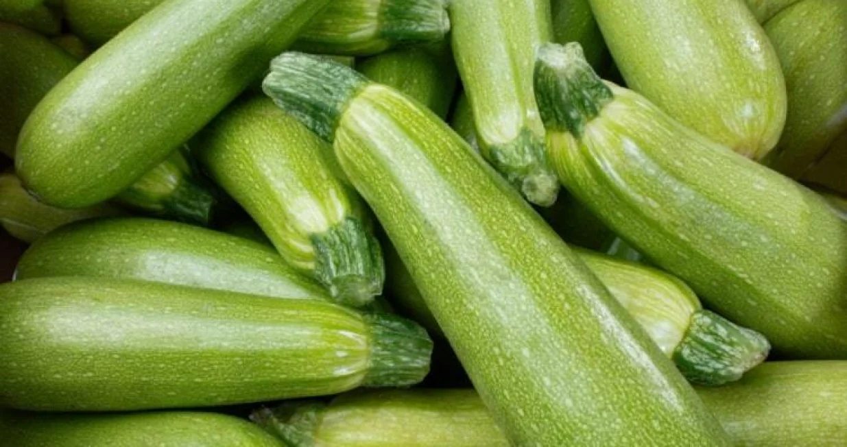 Zdravstvene prednosti tikvica/