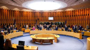 Dom naroda PSBiH sjednica/Damir Deljo