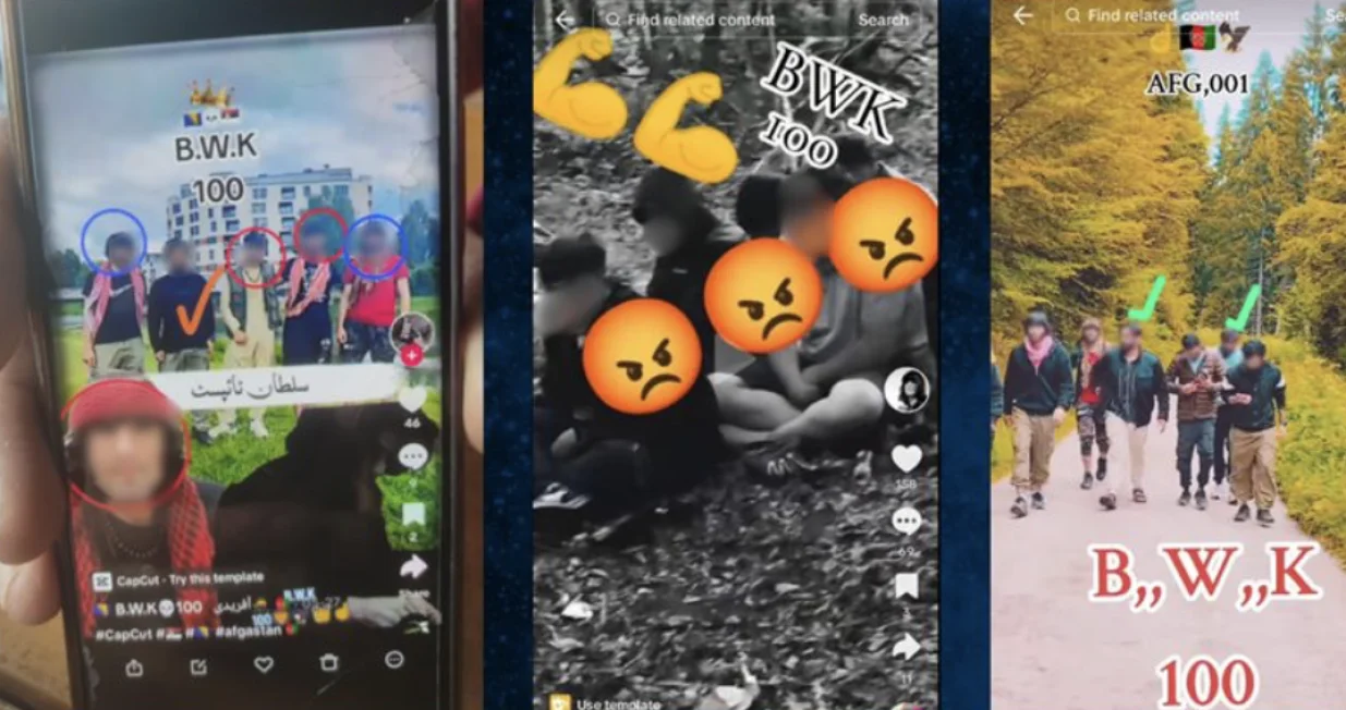 Screenshotovi koje su objavljivali pripadnici BWK/Birn