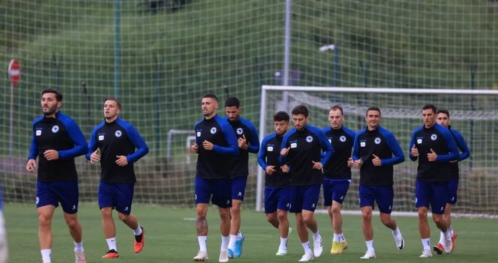 Sead Kolašinac Ermedin DemirovićRade KrunićKenan Kodro Sanjin PrcićJusuf GazibegovićNemanja Bilbija Smail PrevljakHrvoje MiličevićLuka Menalo 