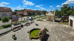 Despotovo danas/Dizajn Bap