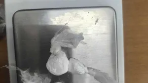 Zaplijenjeni su marihuana i speed/