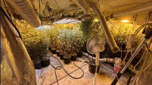 Akcija "Koko II": Pronađena droga milionske vrijednosti, uhapšena tri muškarca//