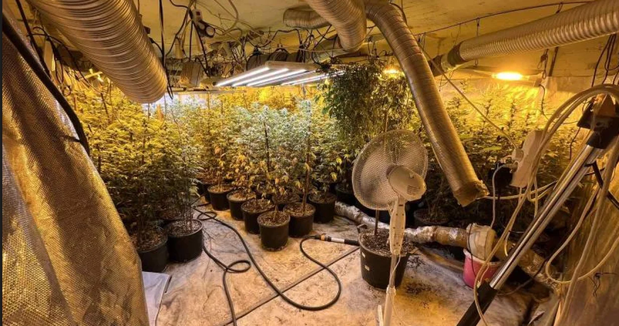 Akcija "Koko II": Pronađena droga milionske vrijednosti, uhapšena tri muškarca//