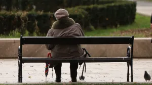 Stari, penzioner, penzioneri/Senad Gubelić