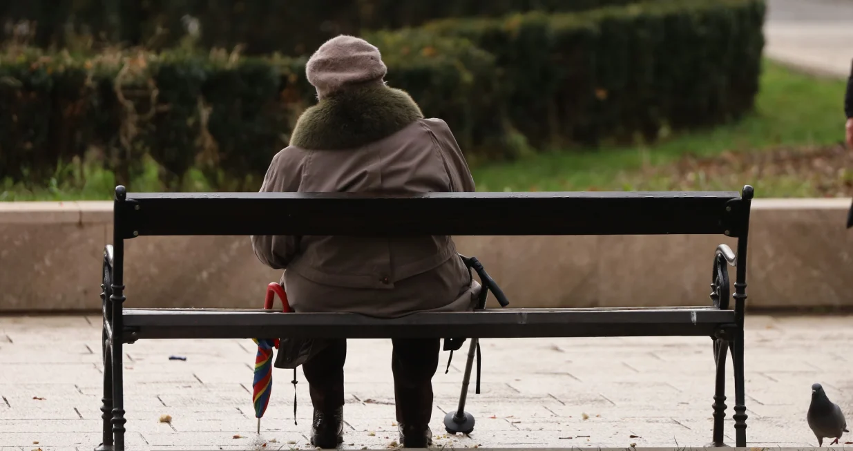 Stari, penzioner, penzioneri/Senad Gubelić