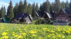 Proljeće na Vlašiću/Tz Travnik