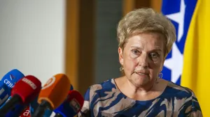 Sala Dom naroda Parlamenta BiH Marina Pendeš/Damir Deljo