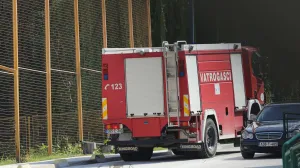 Vatrogasci ilustracija/Senad Gubelić