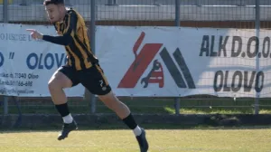 tarik haznadar stupcanica