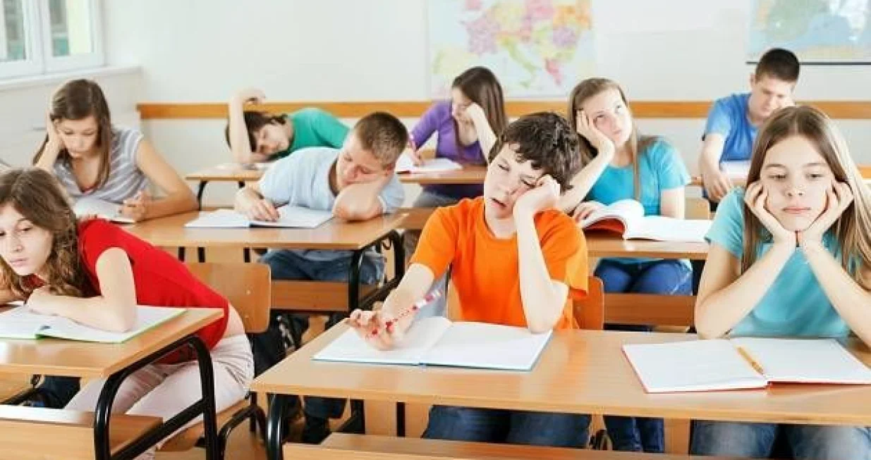 Osnovna škola /ILUSTRACIJA/