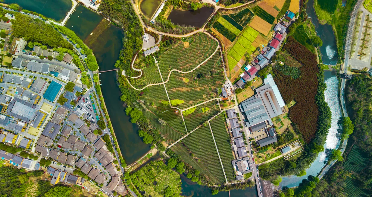 Kina, poljoprivreda, plan, razvoj/Ilustracija