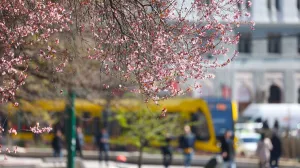 Stiglo je proljeće, budi se priroda/Hazim Aljović