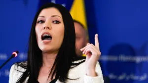 Vulić izjava hitna sjednica jena Konakovića/Damir Deljo