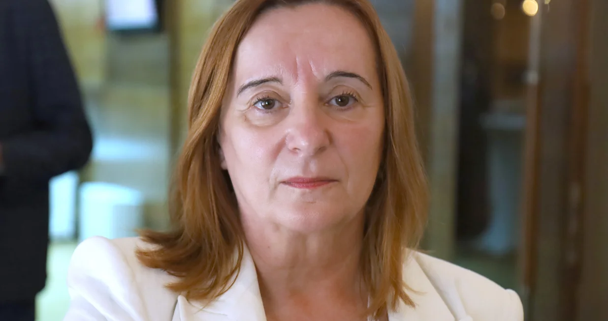 Tanja Topić politička analitičarka/Senad Gubelić