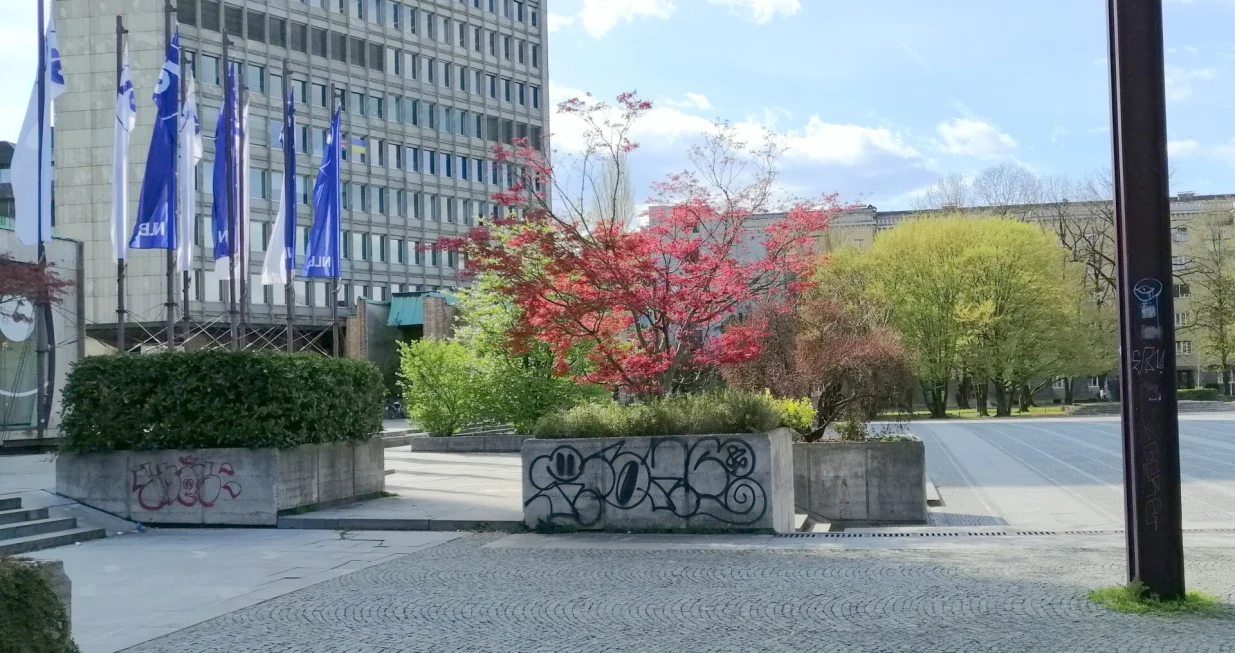 Urbano zelenilo u žardinjerama/Picasa