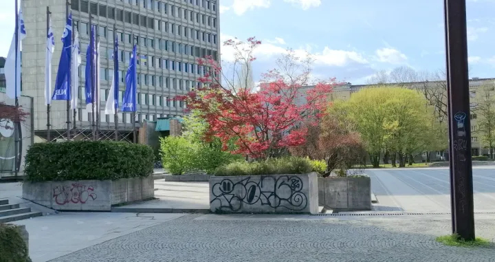 Urbano zelenilo u žardinjerama/Picasa