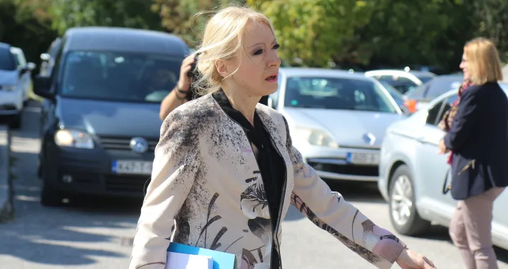 Sud BiH Aleksandra Pandurević/Senad Gubelić