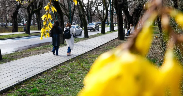 Vedro poslije kiše mart 2025/Damir Deljo