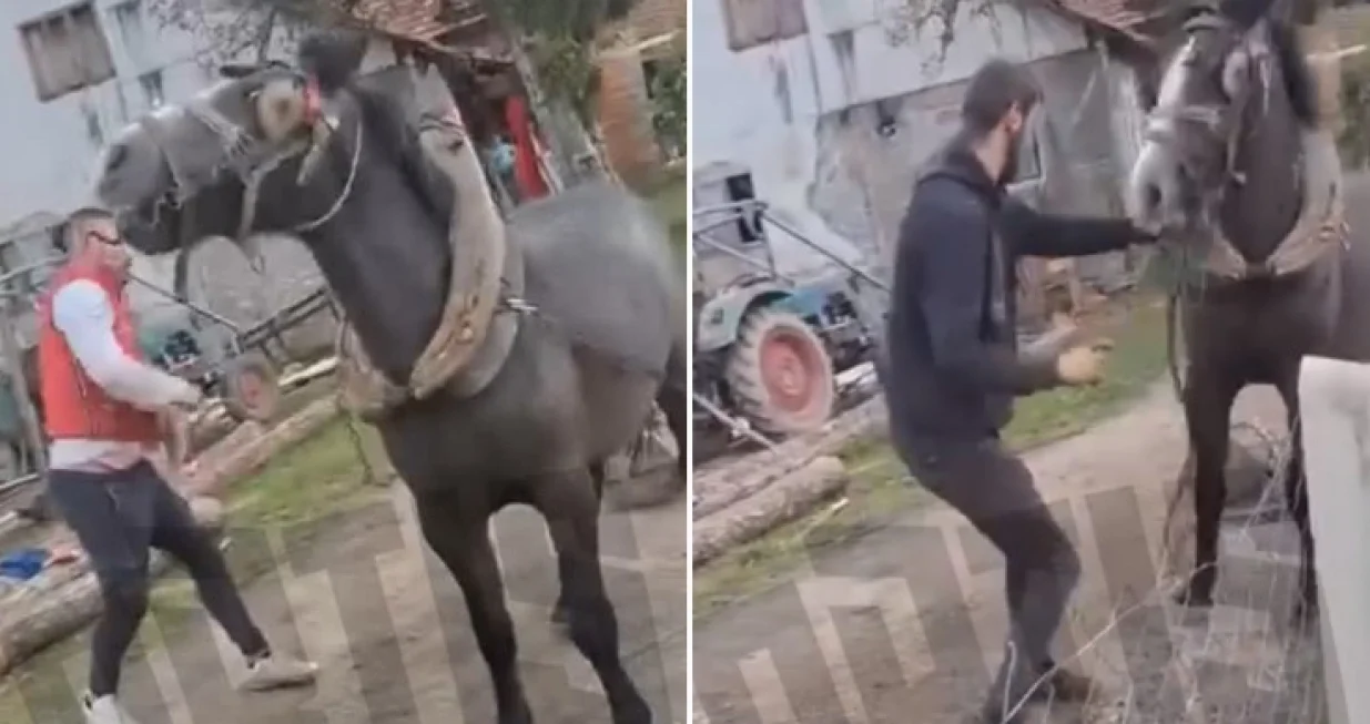 / Screenshot/Screenshot/Instagram 