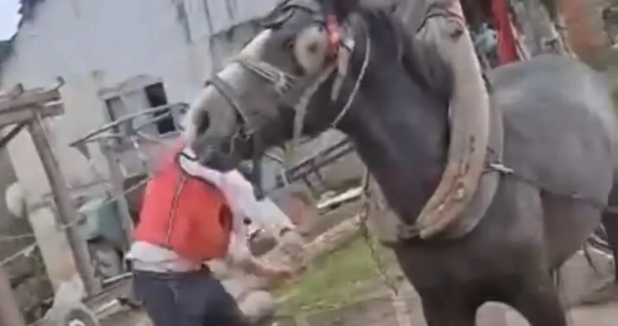 / Screenshot/Instagram 