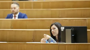 Predstavnički dom 62. sjednica/Damir Deljo