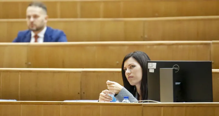 Predstavnički dom 62. sjednica/Damir Deljo