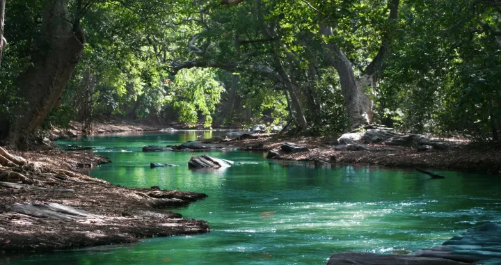 Ilustracija/ Pexels/