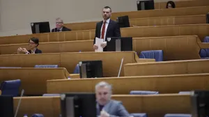 Saša Magazinović; Sjednica Predstavničkog doma PSBiH/Senad Gubelić