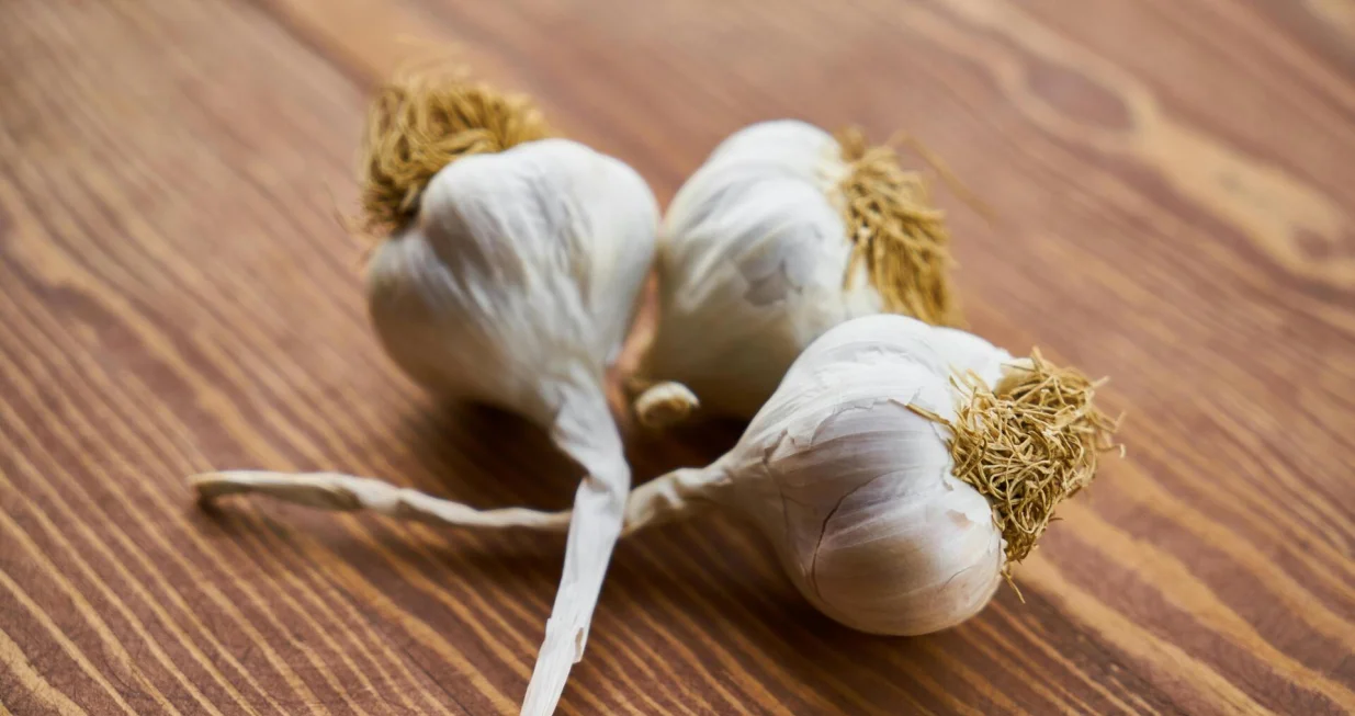 bijeli luk, češnjak/Pexels