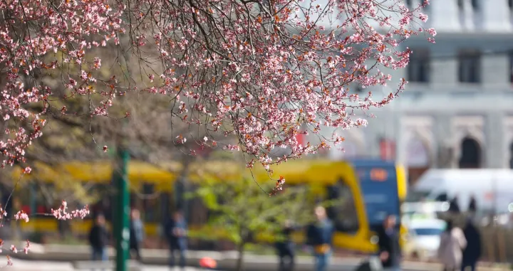 Stiglo je proljeće, budi se priroda/Hazim Aljović