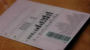 vozačka dozvola BiH/Fena