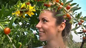 Unosan porodični biznis/Printscreen/You Tube//